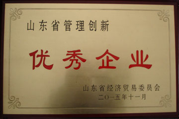 重庆华盈变压器厂管理创新优秀企业证书
